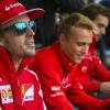 Fernando Alonso en una sesión de firmas/ lainformacion.com