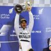 Hamilton celebra la victoria/ lainformacion.com