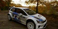 WV Polo R WRC